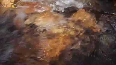 山间小河流水高清视频视频的预览图